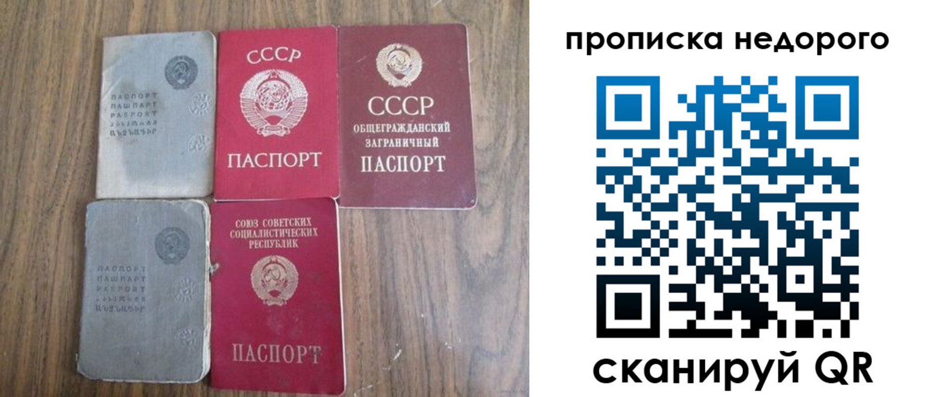 временная регистрация поиск в Щёлково